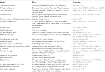 Field Exploitation of Multiple Functions of Beneficial Microorganisms for Plant Nutrition and Protection: Real Possibility or Just a Hope?